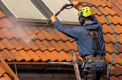 Démoussage et hydrofuge de toiture à Lerné